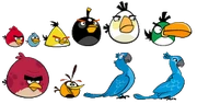 Rio flock