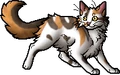 Sorreltail.apprentice