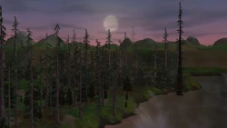 MertuenForest