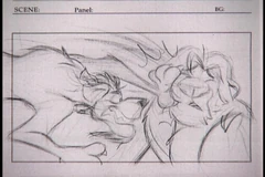 PDVD 020