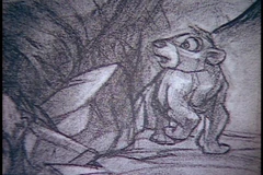 PDVD 008