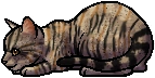 Leafstar.kit.png (9 KB) Leafstar.kit