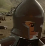 Pippin Citadel Guard
