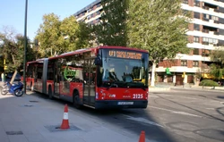 Manng313fv1