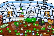 CPIP Igloo