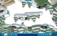 CPIP Forest