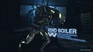 Xeno Boiler