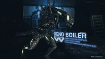 Xeno Boiler