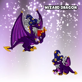 Wizard Dragon