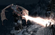 Blades Shot Dragon