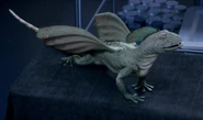 4x3rex