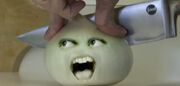 Onion Being Knived