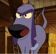 Mooch look mad at lucky
