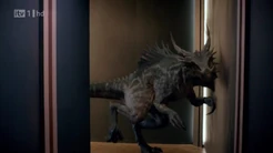 4x1dracorexFree