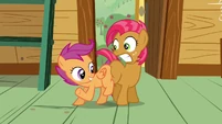 Scootaloo 'since you don't have a cutie mark'n'all' S3E04