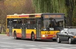 Wysockiego (autobus 126)
