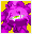Shuma-Gorath Caution.png (835 B) Shuma-Gorath Caution