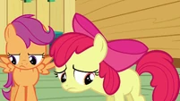Apple Bloom depressed S3E04