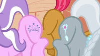 Babs, Diamond Tiara and Silver Spoon 'sugar-lump, rump!' S3E04