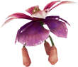 DendrobiumFFIX