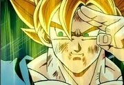 Adios, Majin Buu