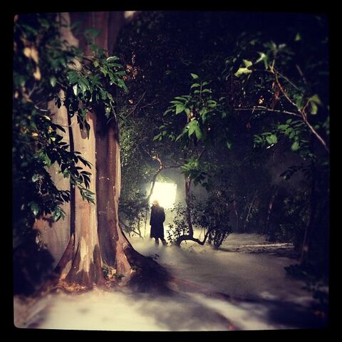 File:Foggy night in rosewood.jpg