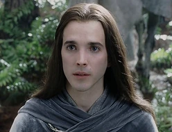 Figwit in ROTK