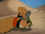 Pluto’s Turtle02