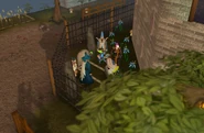 Filling the grave