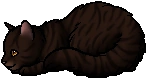 Talon.kit.png (9 KB) Talon.kit