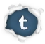 Tumblr