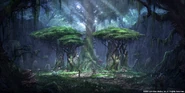 TES-O Concept Valenwood 1
