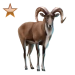 Item urial bronze 01