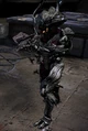 Collector CapME3.jpg