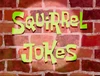 Squirrel Jokes