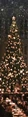 Thumbnail for version as of 01:11, December 2, 2012