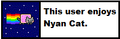 Nyancatuserbox.gif