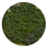 Forest (Civ5)