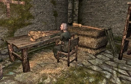 Contract Kill Agnis