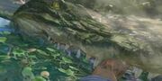 Crocodile