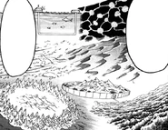 Biotope