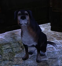 Fable2Dog