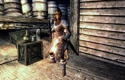 Contract Kill Safia