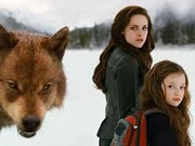 Volturi Confront