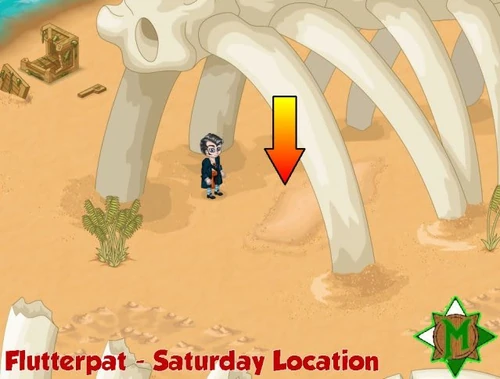Flutterpatlocation5