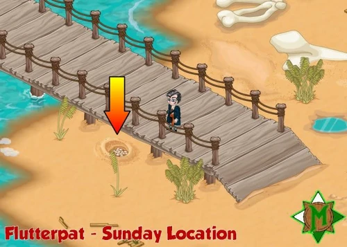 Flutterpatlocation6
