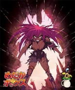 DVD Volume 6