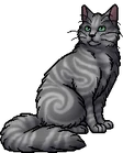 Graymist.warrior
