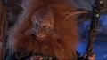 Gwildor