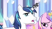 Shining Armor huh S3E1